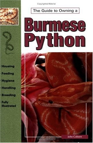 Burmese pythons acceptable - pythons,