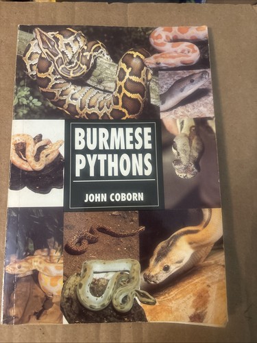 Burmese pythons john - pythons.,