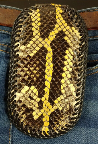 Burmese python coin - coin, wallet
