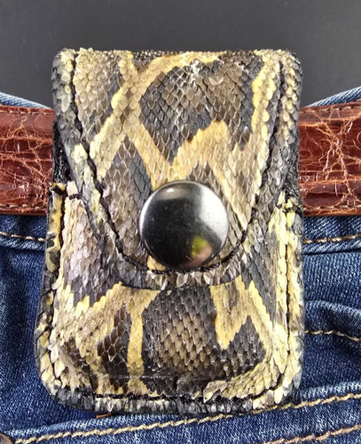 Real burmese python snake - real,